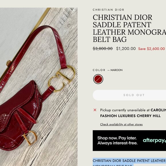 Dior Belt + Saddle Bag by Galliano - Picture 17 of 17